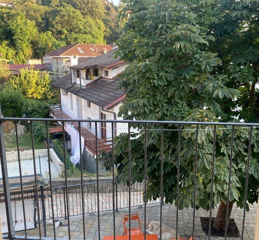 Appartamento Casa Di Fiocco Bra Esterno foto